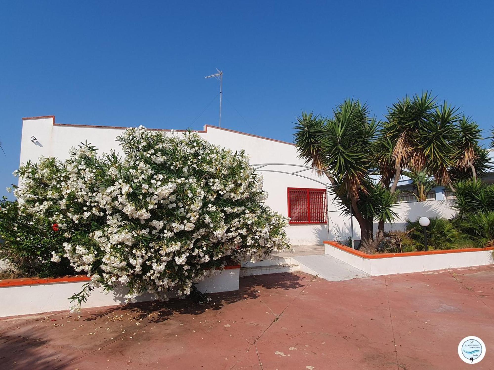 Villa La Rondinella - Torre San Giovanni Exterior foto